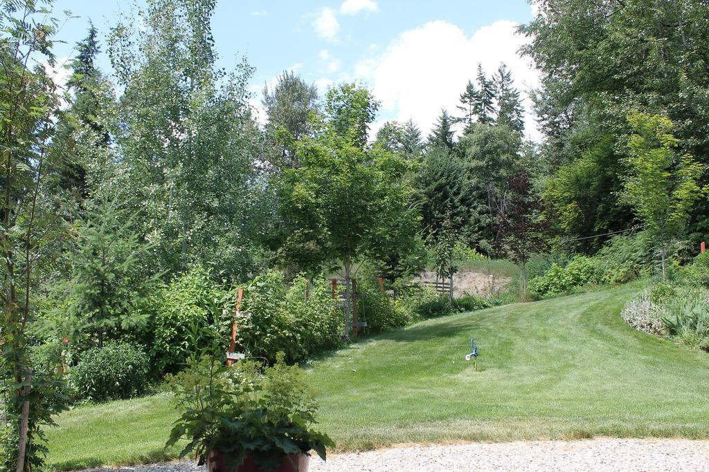 Windborne Bed & Breakfast Castlegar Exterior photo